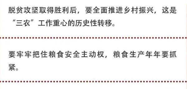 2020年中央農(nóng)村工作會(huì)議精神速覽！(圖2)