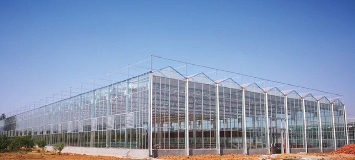 信橋鋼構(gòu)：打卡蒙陰農(nóng)業(yè)溫室大棚、青州黑牛養(yǎng)殖基地！(圖2)